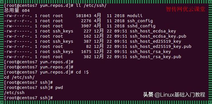 Linux怎么用cd进入目录：探索之旅