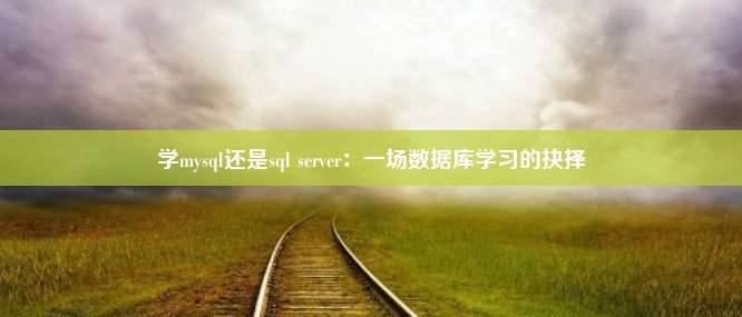 学mysql还是sql server：一场数据库学习的抉择