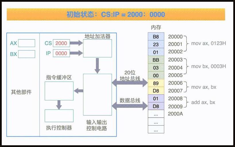 CPU的运算器的功能是：神秘面纱下的数字魔法