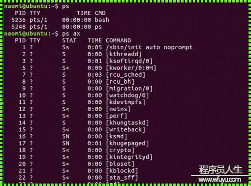 Linux统计行数的命令：揭秘