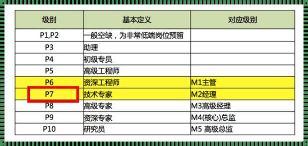 菜鸟P4是什么级别：揭秘神秘面纱