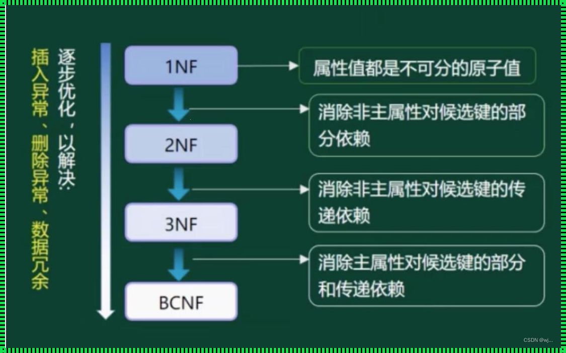 主属性和非主属性：探索事物背后的深层含义