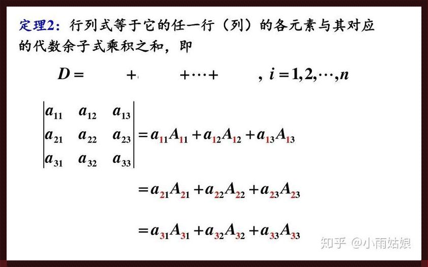 代数余子式计算公式解析