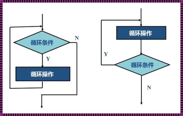 While循环累加：无尽的力量与可能