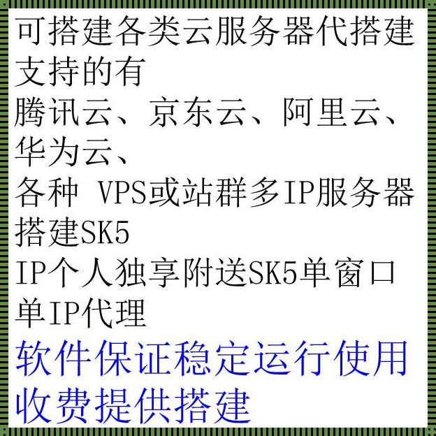 深入探讨云服务器搭建sk5：技术、教育与创新