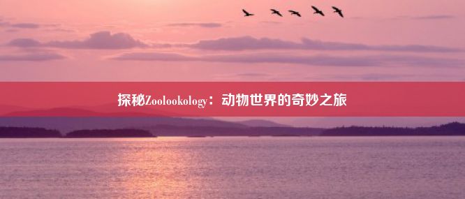 探秘Zoolookology：动物世界的奇妙之旅