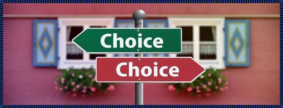 探究“decide”一词的读音及其背后的文化差异