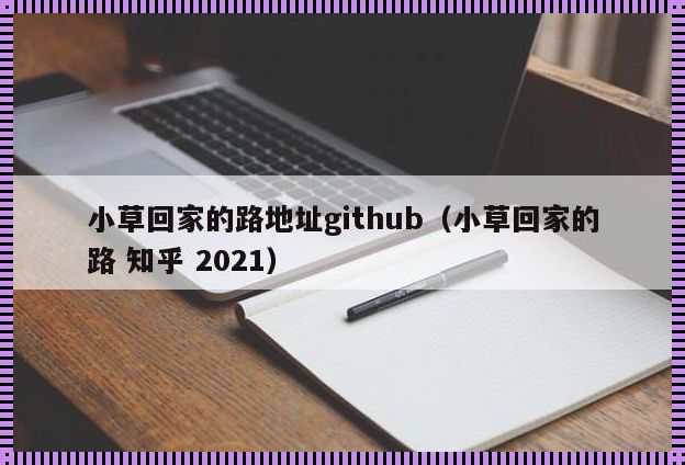 小草2020怎么回家