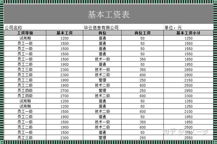 菜鸟p级别对应工资：揭开职场新人的薪酬之谜