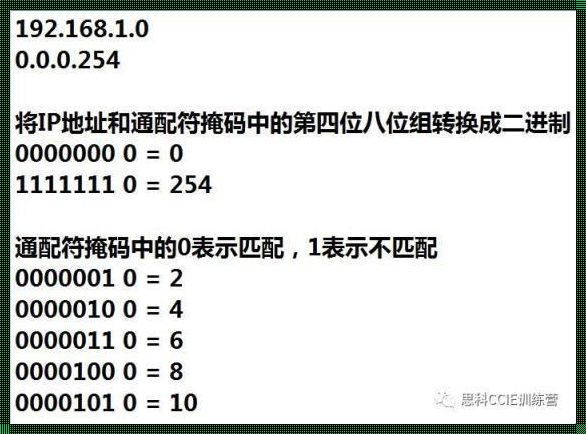 254反掩码：揭秘网络安全的神秘面纱