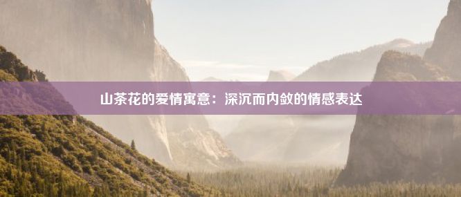 山茶花的爱情寓意：深沉而内敛的情感表达