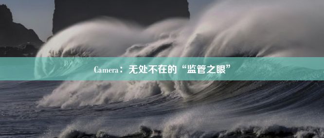 Camera：无处不在的“监管之眼”