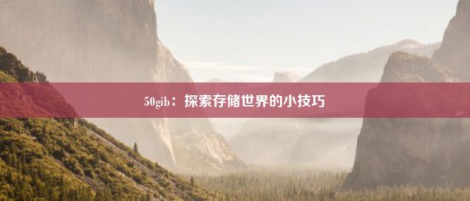 50gib：探索存储世界的小技巧