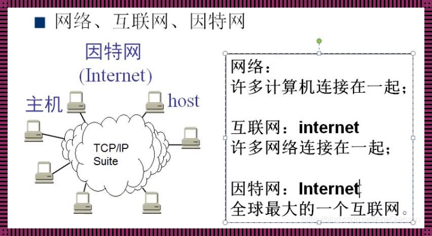 免费外网节点的震撼真相