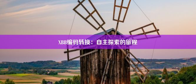 XBB编码转换：自主探索的旅程