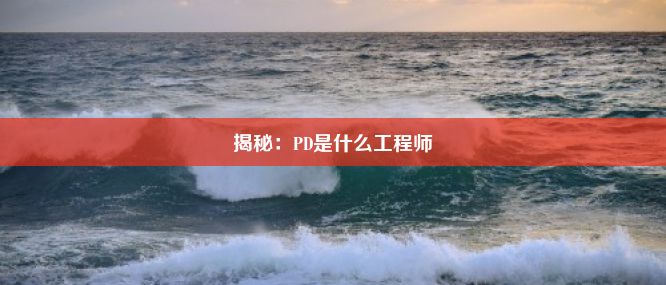 揭秘：PD是什么工程师