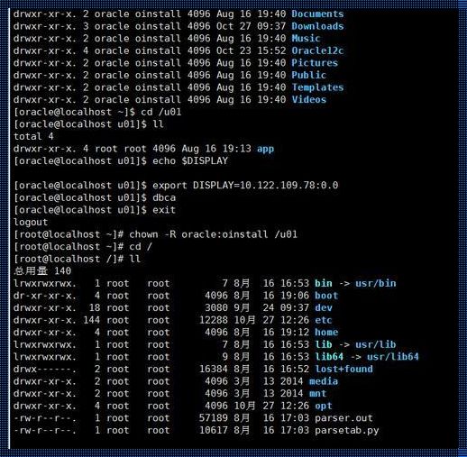 Linux连接Oracle数据库命令揭秘