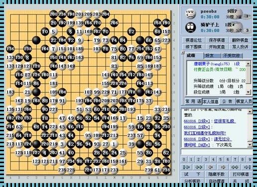 深入探讨新浪围棋棋谱的奥秘