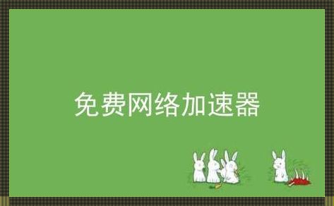 外网加速器每天免费一小时：畅享全球资源的新福利