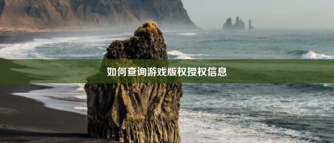 如何查询游戏版权授权信息