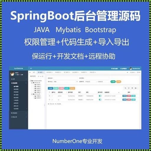 SpringBoot项目——探索与奇迹