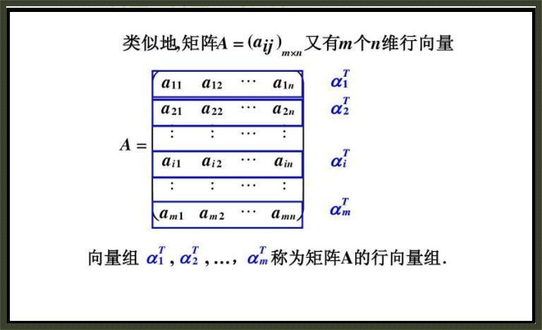 探讨数学二学不学n维列向量的技巧