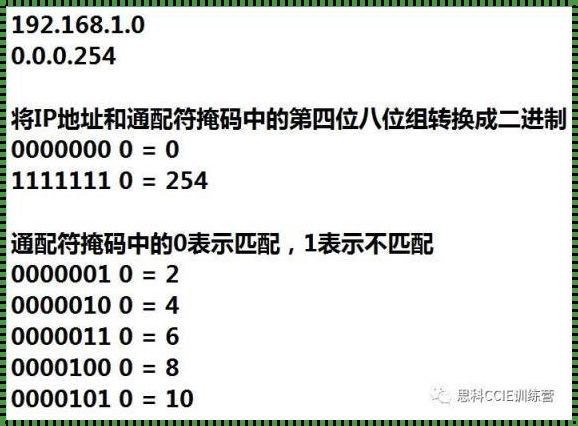 正掩码和反掩码：数字世界的神秘面纱