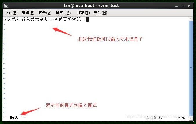 Linux Vi编辑器怎么粘贴