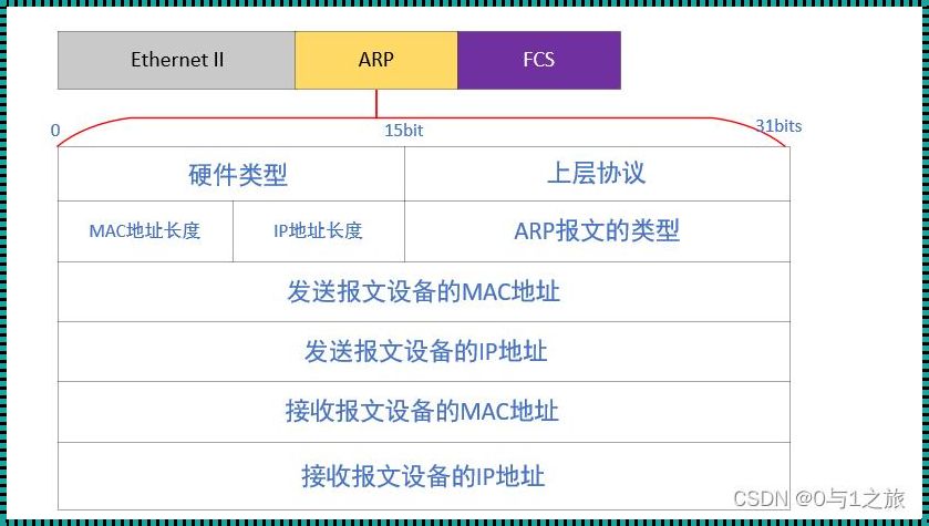 ARP报文格式解析：问题与解答