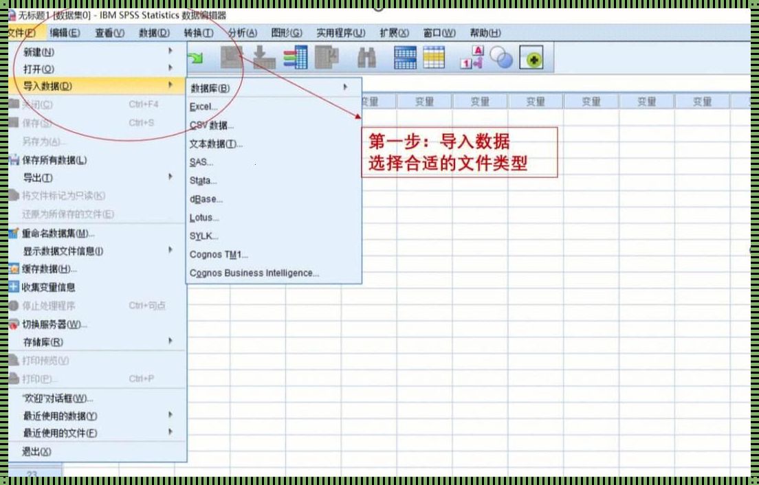 深入探讨SPSS用法：数据分析的艺术