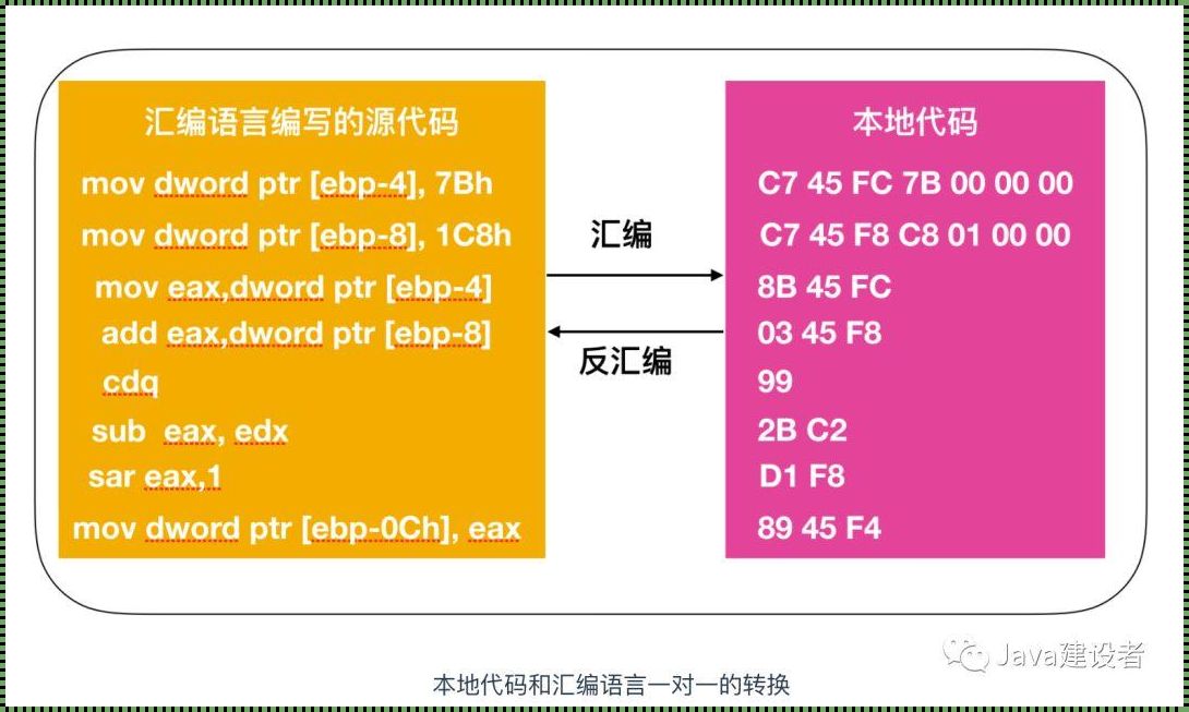 深入探讨xor指令在新品预售中的重要性与应用