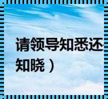 知悉和悉知的区别通知：深入解析与新品预售