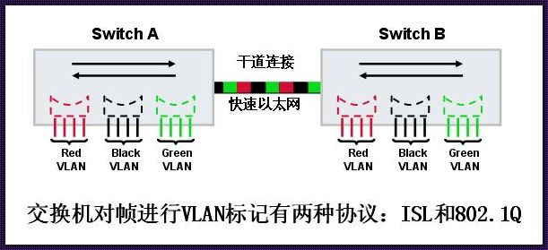  trunk口的作用：连接过去与未来的桥梁