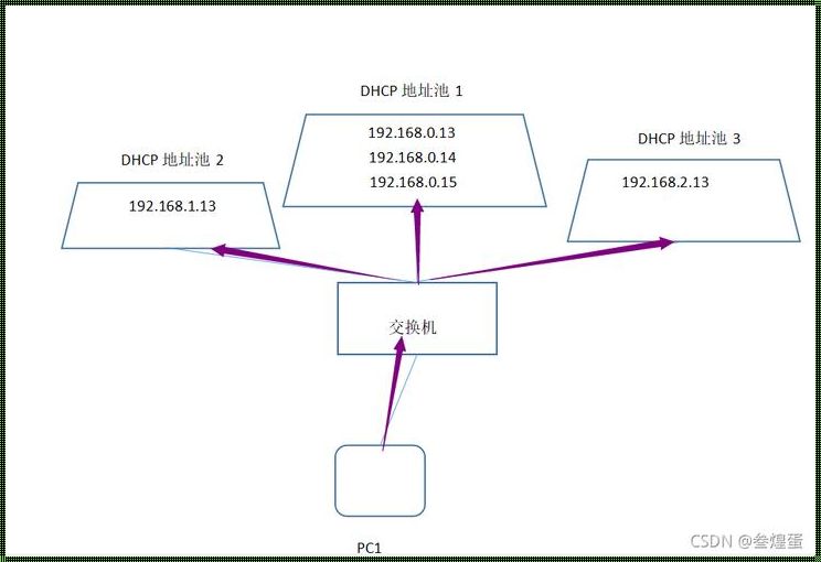 探究DHCP方式在现代网络环境中的实际应用与影响