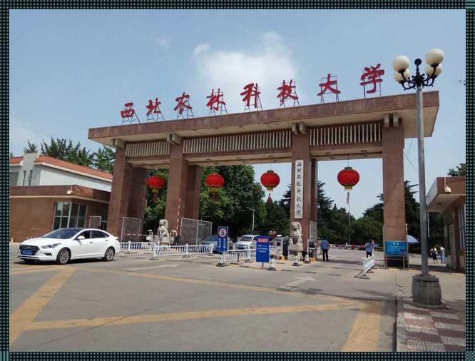 农业大学出来有出路吗？