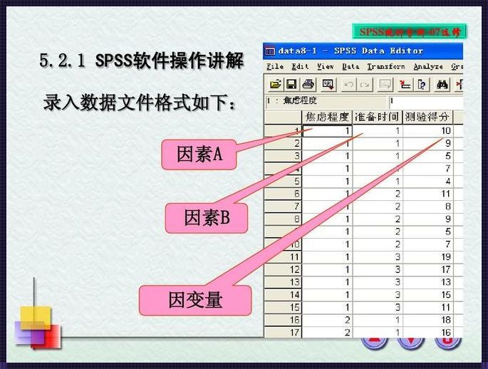 DPS软件和SPSS的区别解析：深入理解数据分析工具