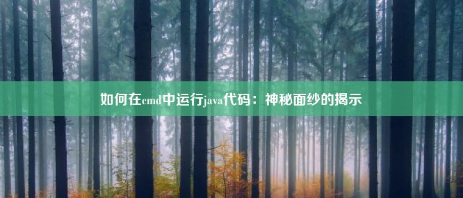 如何在cmd中运行java代码：神秘面纱的揭示