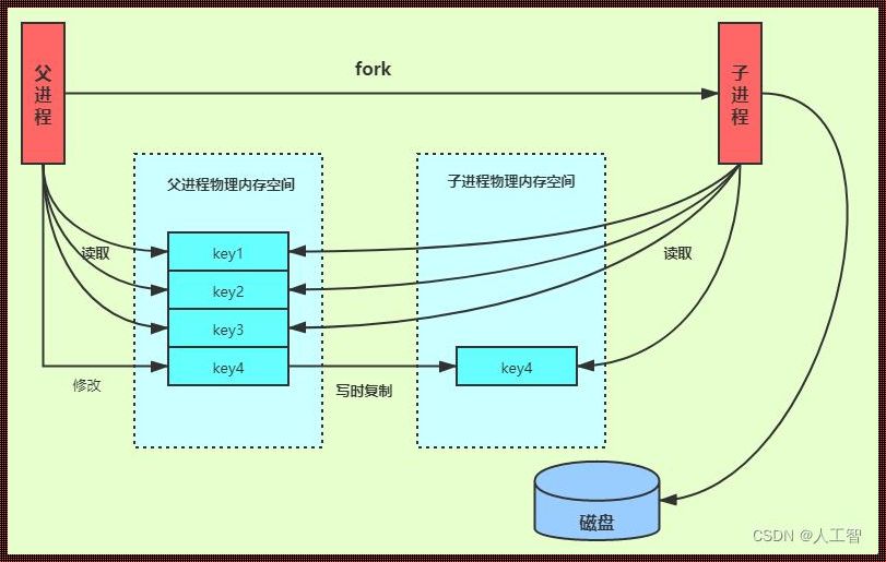 Redis：数据库还是中间件？探秘其独特定位