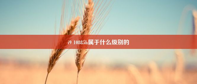 i9 10885h属于什么级别的