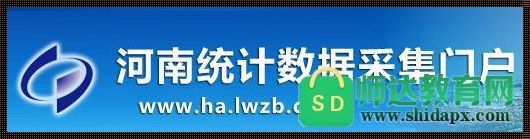 河南省统计局联网直报平台：描绘数据时代的统计画卷