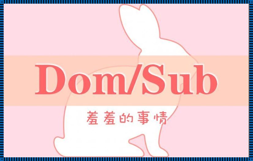 SM中的sub和dom是什么意思