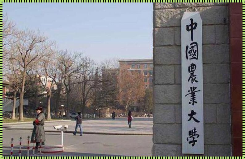 为了985去中国农业大学：我的梦想之旅