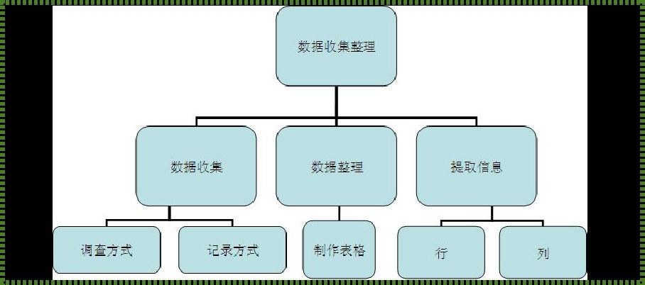 常见的收集数据的方法有啥