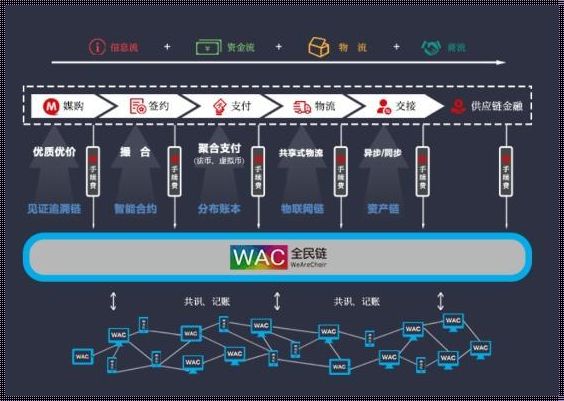 区块链入门指南：踏上未来的征程