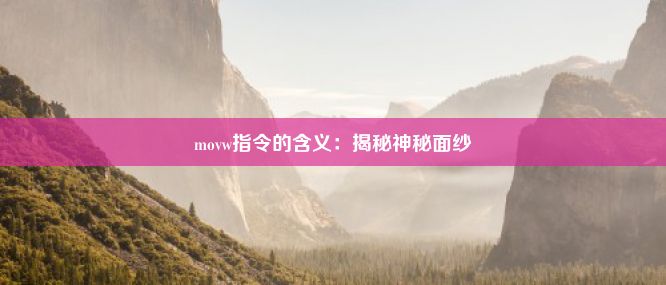 movw指令的含义：揭秘神秘面纱