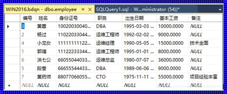 用SQL命令创建数据表：深入理解与实践探索