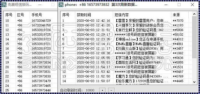 验证码接收平台：新时代的便捷与挑战