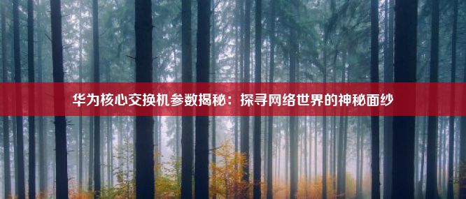 华为核心交换机参数揭秘：探寻网络世界的神秘面纱