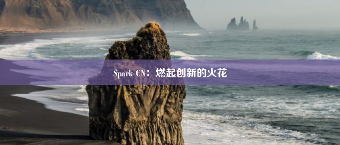 Spark CN：燃起创新的火花