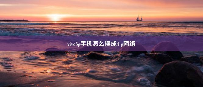 vivo5g手机怎么换成4 g网络